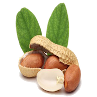 בוטנים