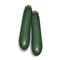 קישואים