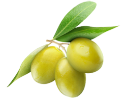 זית