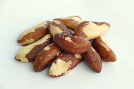 ברזיל 