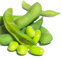 אדממה