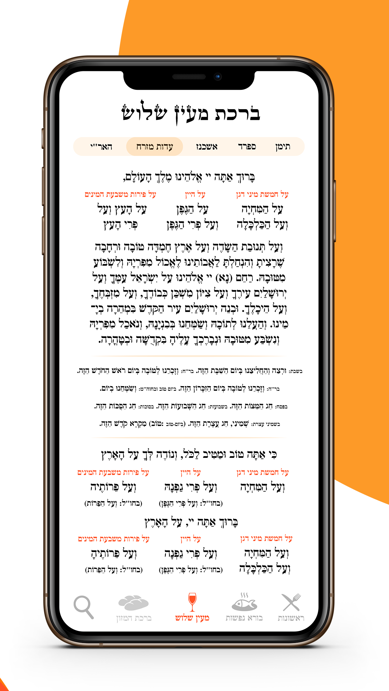 צילום מסך 6